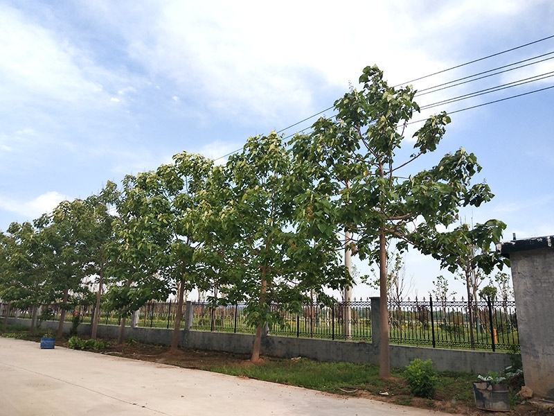 濟寧市大氣環(huán)境質量2015年12月份13縣市區(qū)排名