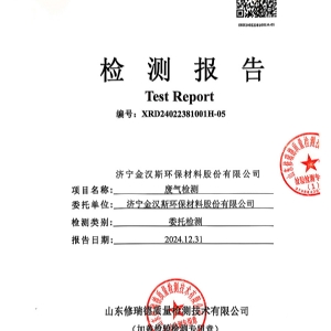 檢測(cè)報(bào)告(2024.12.31)