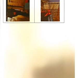 檢測(cè)報(bào)告(2024.12.31)